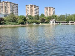 -团结湖公园
