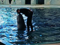 -福州罗源湾海洋世界旅游区