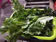 -章记正宗南岗鱼蛋火锅