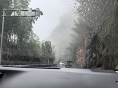 -江南天池
