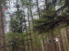 -大连理工大学(凌水校区)