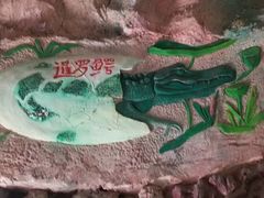 -中国扬子鳄村