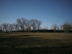 -汉长安城未央宫国家考古遗址公园