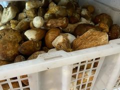 -双喜农庄·菌香园(安居家园店)