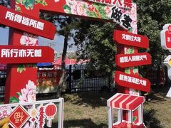 -蒲河大集