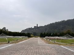 -南沙蒲洲花园