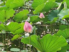 -WhaleSports户外水上运动俱乐部(朝阳公园店)