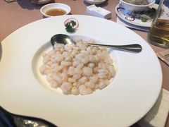 -圆苑(静安寺店)