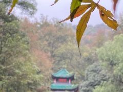 -岳麓山风景名胜区