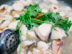 -大鼎石锅鱼(春江里店)