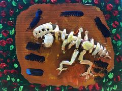 -甲乙果 美术书法(通州校区)