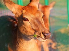 -长白岛森林公园