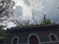 -阳台山自然风景区