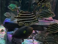 -沈阳海洋探索中心