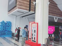 -金逸影城(荟聚IMAX激光店)