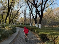 -昆山城市生态森林公园