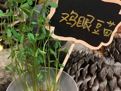 -饵块食光·云南有机手作饵块