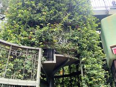 -三鹰之森吉卜力美术馆