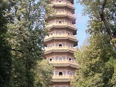 -灵谷景区