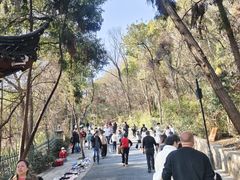 -灵岩山风景区