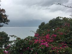 -南诏风情岛