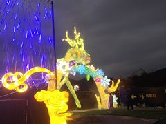 -亚龙湾国际玫瑰谷