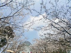 -南山植物园