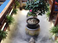 -三只耳火锅(宽窄巷子店)
