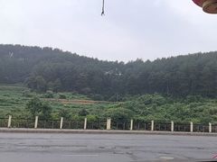 -西江传说•酸汤鱼(水东路店)