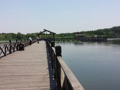 -溱湖国家湿地公园