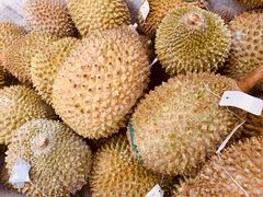 -开皇马来西亚榴莲美食店(华强北店)