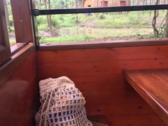 -合肥滨湖国家森林公园