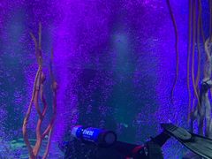 -沈阳海洋探索中心