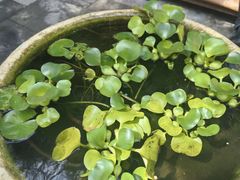 -杏园餐厅(西四北大街店)