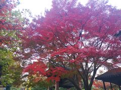 -无锡惠山寺