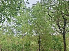 -玉渡山风景区-售票处