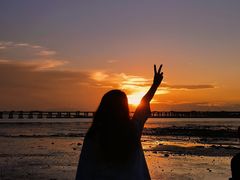 -宝安西湾红树林湿地公园