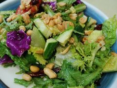 爽口大拌菜-龙香居海鲜浑锅家常菜·特色驴肉