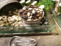 -星伦多 自助料理(圆融店)