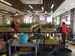 大堂-八合里潮汕鲜牛肉火锅(深圳海岸城店)
