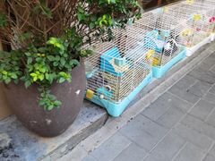 -后海16号·北京私房菜