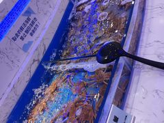 -澜悦港海鲜体验主题餐厅