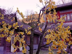-潭柘寺景区