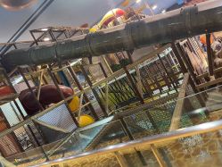 -卡通尼·Safari非洲探索乐园·生日会(金桥国际商业广场店)