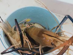 -澜悦港海鲜体验主题餐厅