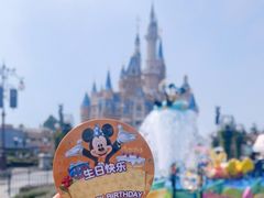 -上海迪士尼度假区
