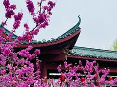 -岳阳楼景区
