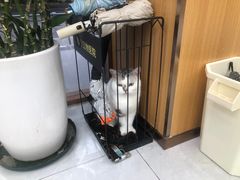 -宠欣安宠物医院·包河区中心医院