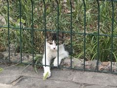 -北京外交人员免税商店(分店)