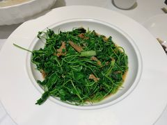 -洋洋中餐馆·SINCE 1997(信投店)